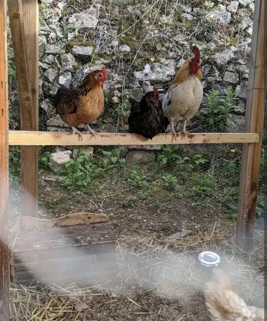 Roulotte A La Mauvaise Herbe Barjols 0*,  France